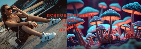 марки nbome Белокуриха