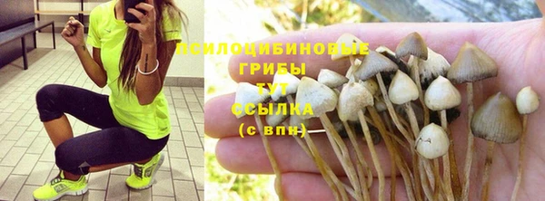 марки nbome Белокуриха