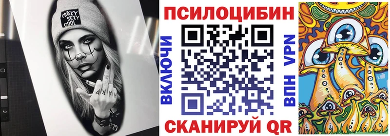 как найти наркотики  Заводоуковск  Псилоцибиновые грибы мицелий 